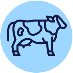 dairy-products-ico