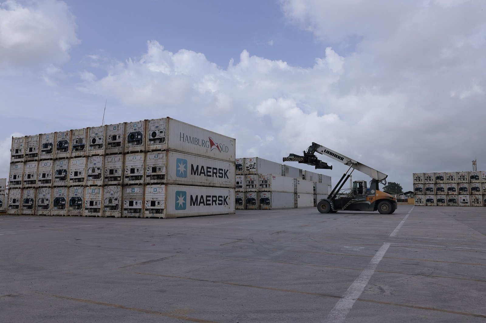 Reefer containers and reach stacker at Santo Tomás de Castilla port, Izabal, Guatemala
