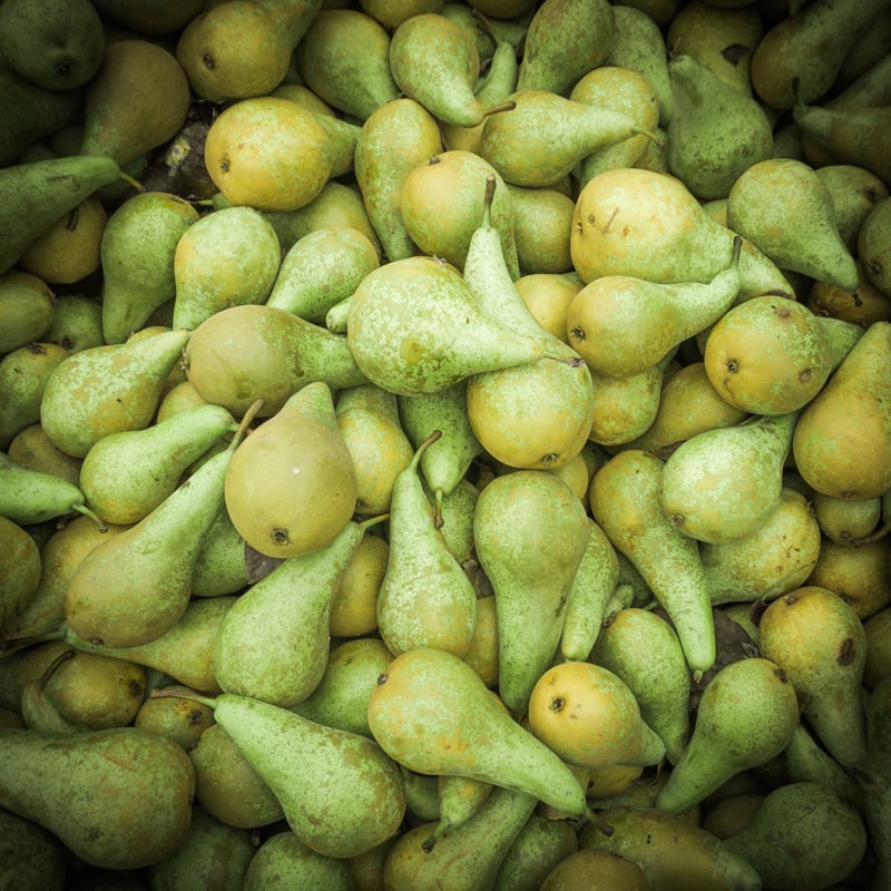 Refrigerado (0 a 4 °C)